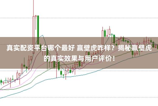 真实配资平台哪个最好 赢壁虎咋样？揭秘赢壁虎的真实效果与用户评价！