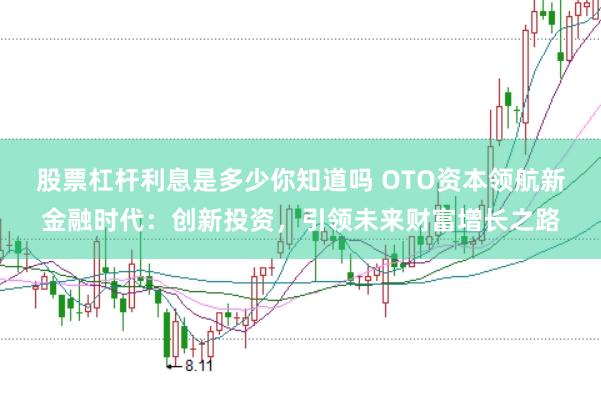 股票杠杆利息是多少你知道吗 OTO资本领航新金融时代：创新投资，引领未来财富增长之路