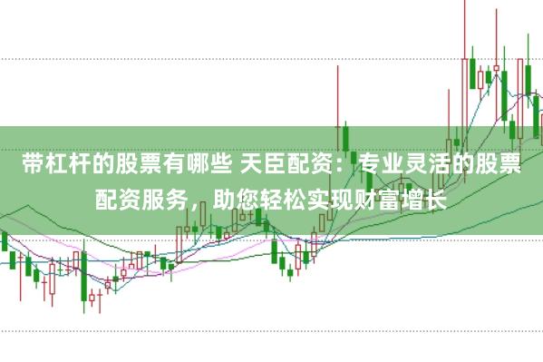 带杠杆的股票有哪些 天臣配资：专业灵活的股票配资服务，助您轻松实现财富增长
