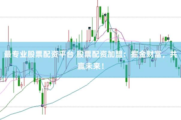 最专业股票配资平台 股票配资加盟：掘金财富，共赢未来！