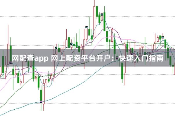 网配查app 网上配资平台开户：快速入门指南
