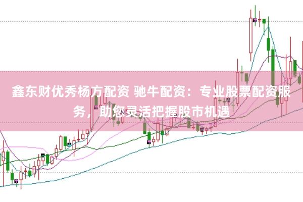 鑫东财优秀杨方配资 驰牛配资：专业股票配资服务，助您灵活把握股市机遇
