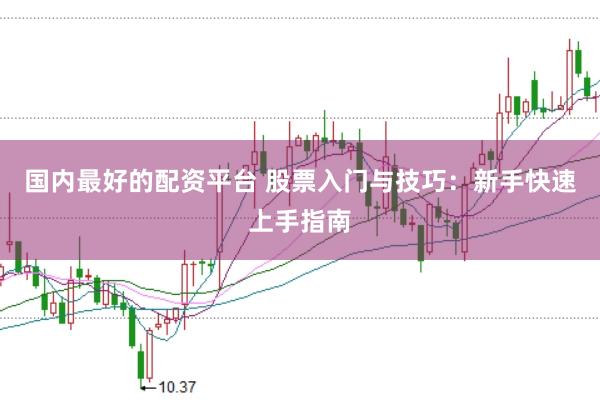 国内最好的配资平台 股票入门与技巧：新手快速上手指南