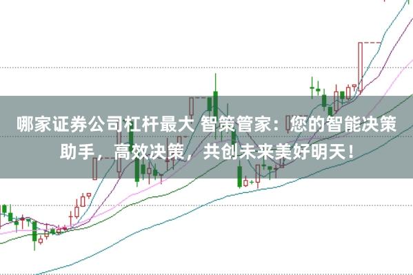 哪家证券公司杠杆最大 智策管家：您的智能决策助手，高效决策，共创未来美好明天！