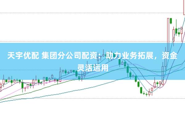 天宇优配 集团分公司配资：助力业务拓展，资金灵活运用