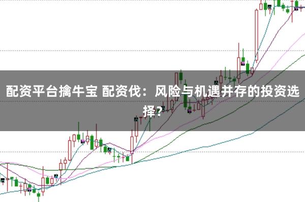 配资平台擒牛宝 配资伐：风险与机遇并存的投资选择？