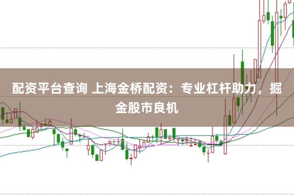 配资平台查询 上海金桥配资：专业杠杆助力，掘金股市良机