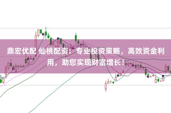 鼎宏优配 仙桃配资：专业投资策略，高效资金利用，助您实现财富增长！