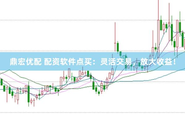 鼎宏优配 配资软件点买：灵活交易，放大收益！