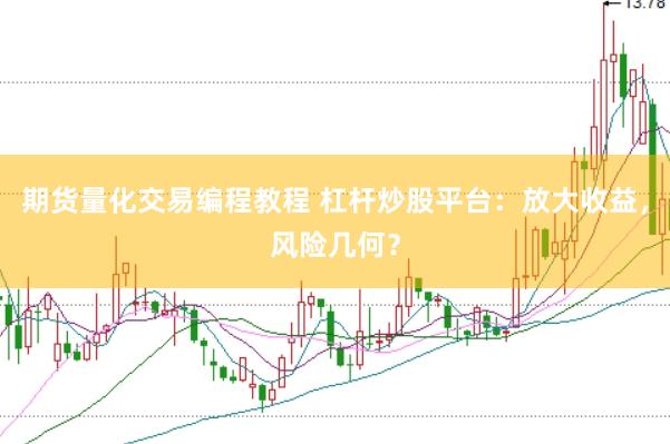 期货量化交易编程教程 杠杆炒股平台：放大收益，风险几何？
