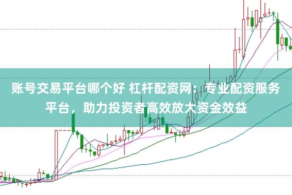 账号交易平台哪个好 杠杆配资网：专业配资服务平台，助力投资者高效放大资金效益
