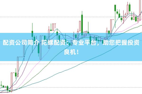 配资公司简介 陀螺配资:专业平台,助您把握投资良机!