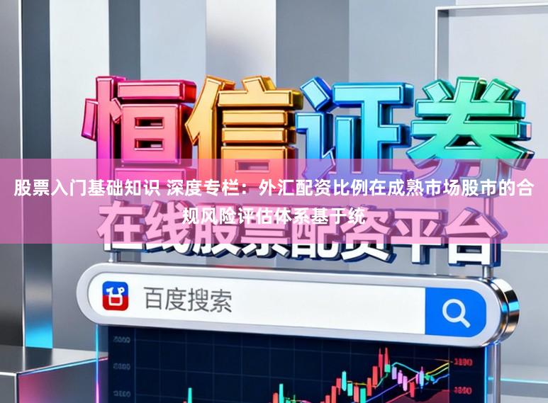 股票入门基础知识 深度专栏：外汇配资比例在成熟市场股市的合规风险评估体系基于统