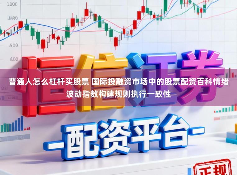 普通人怎么杠杆买股票 国际投融资市场中的股票配资百科情绪波动指数构建规则执行一致性