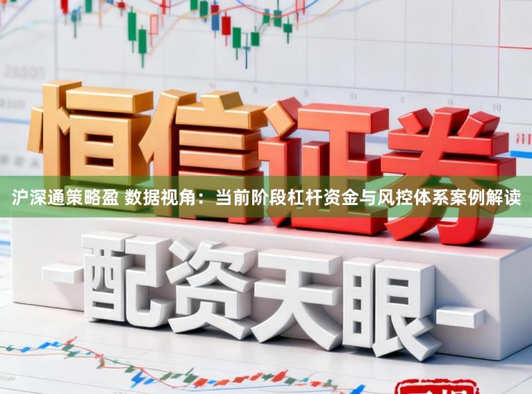 沪深通策略盈 数据视角:当前阶段杠杆资金与风控体系案例解读