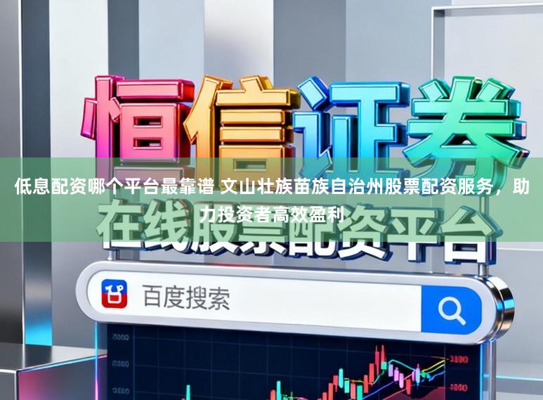 低息配资哪个平台最靠谱 文山壮族苗族自治州股票配资服务,助力投资者高效盈利